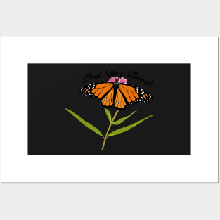 Help Monarch Butterflies, Plant Native Milkweed! Posters and Art